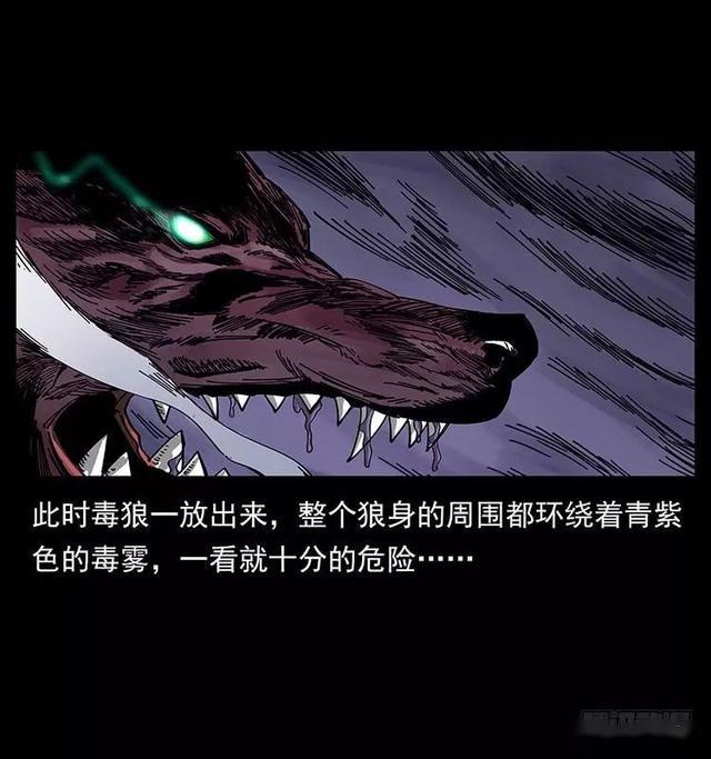 漫画毒狼