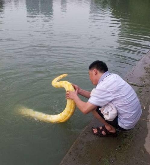 镜泊湖水怪真实照片图片