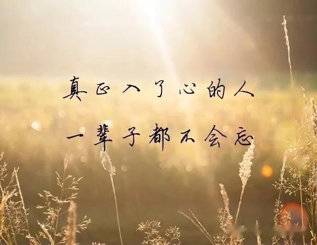 2020最火的句子_一个人