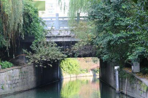 城事|这条路,满是桥!_菜市桥