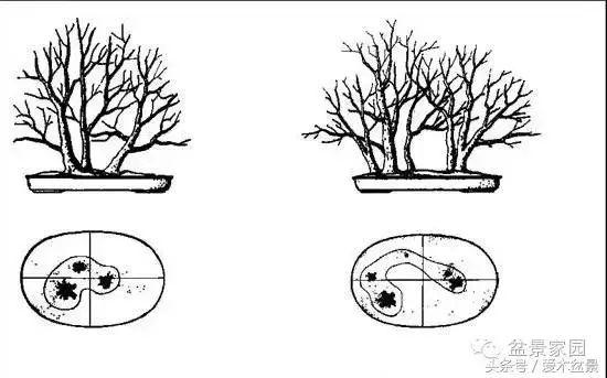 (图文)丛林盆景布局口诀,读懂后做丛林得心应手