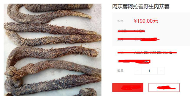 原创阿拉善沙漠中的一种植物素有沙漠人参美誉市场200元一斤