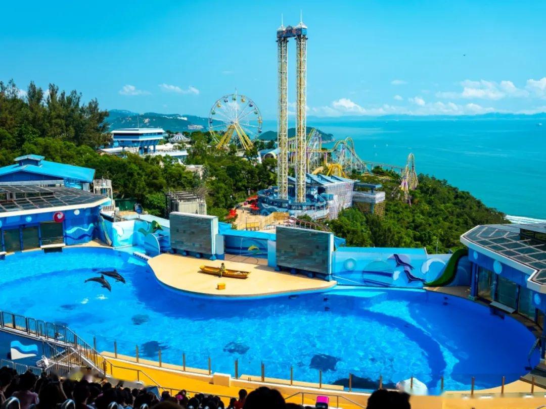 互动疫情冲击面临倒闭香港海洋公园申请拨款