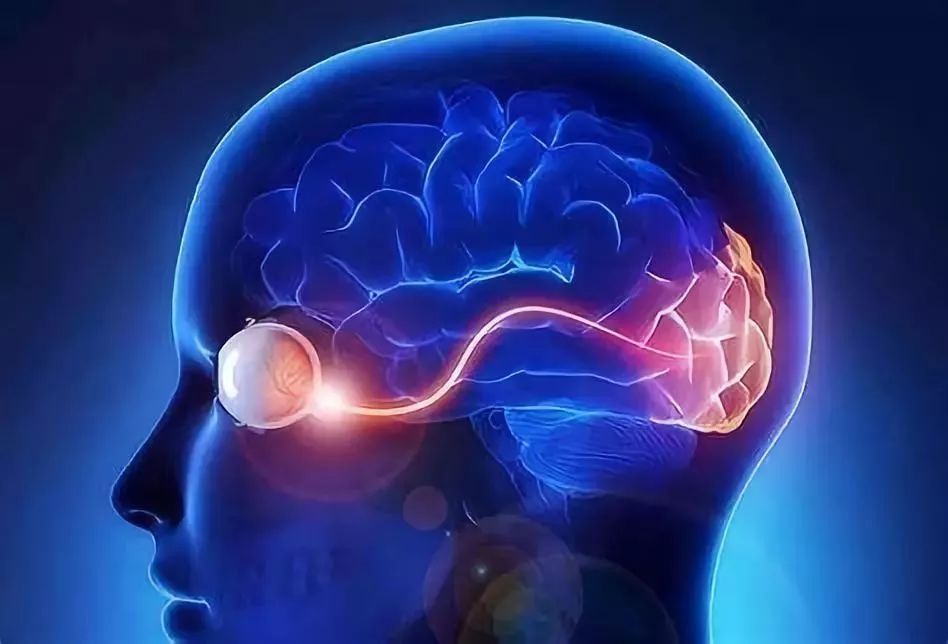 人们一般认为是用眼睛看东西,实际上眼睛只是成像的器官.