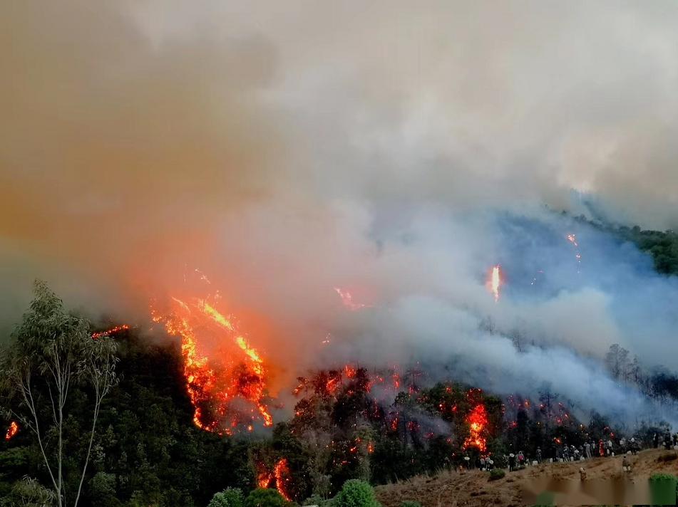 急!安宁青龙山火烧到禄丰!火场中逆行的英雄们一直坚守,义无反顾!_森