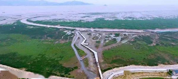 海岸彩虹堤壩絕美海灘創意塗鴉牆還有隱藏在國家溼地公園裡的紫色花海