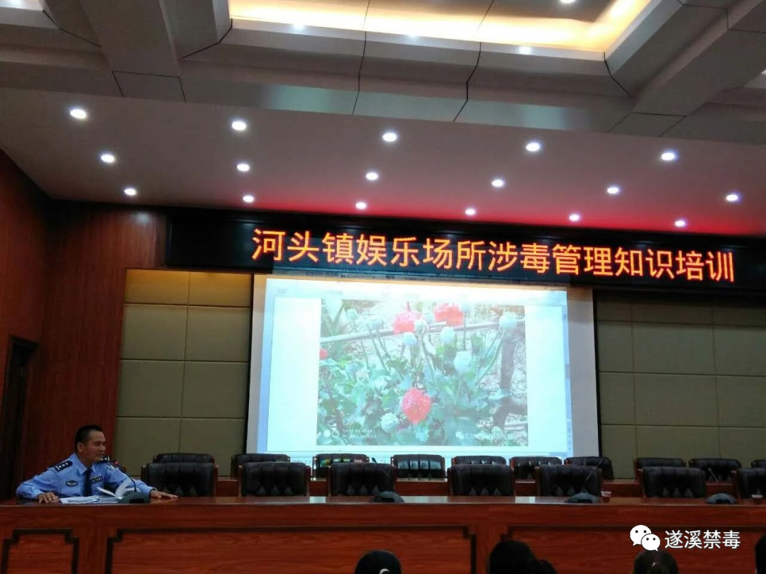 河头镇禁毒办开展重点行业场所从业人员培训