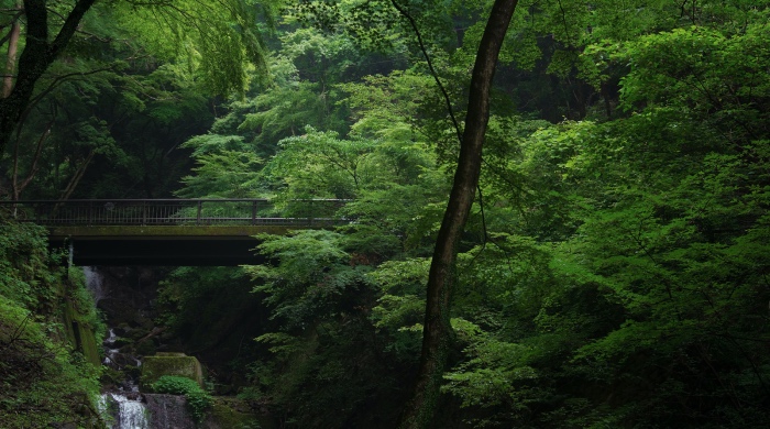 告别丁威时代的A.O.史密斯，如今在中国市场有喜有忧！-家电圈官网