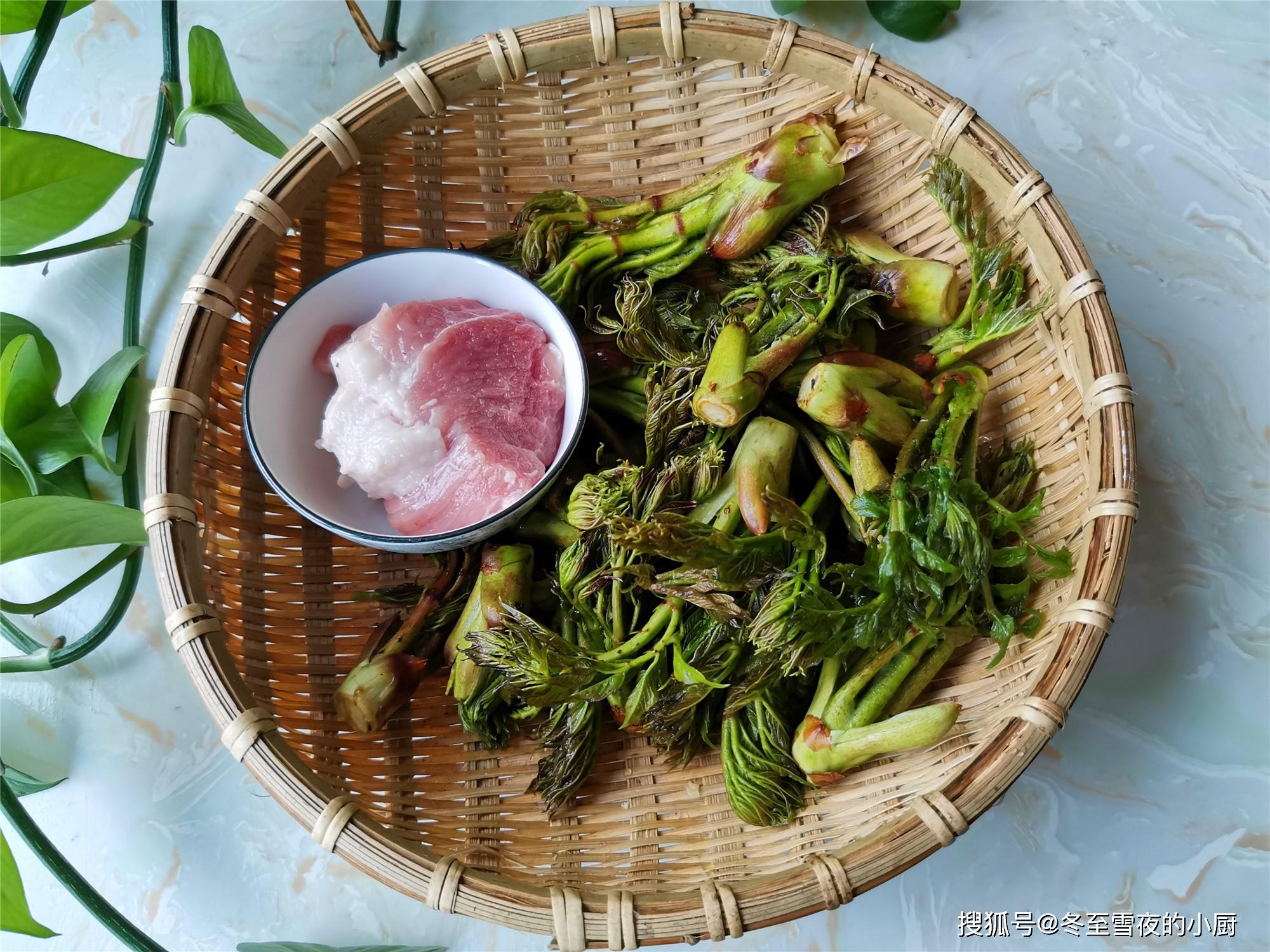 原創東北的這個山野菜被稱為山野菜之王比香椿好吃外地吃不到