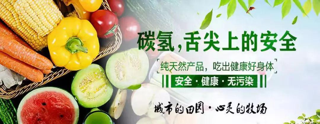 碳氢核肥减了化肥富了农民绿了中国