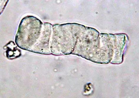 望京医院肾病内分泌科