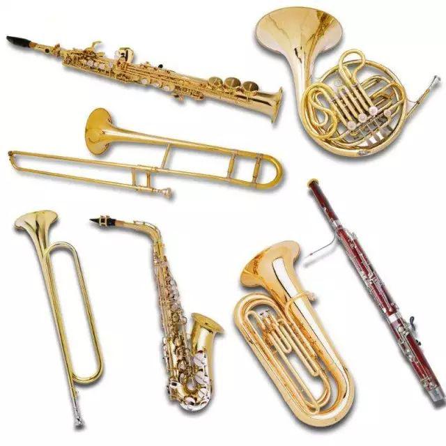 首先,管乐器的音量比弦乐器大得多,一支木管或圆号的音量可以和一个