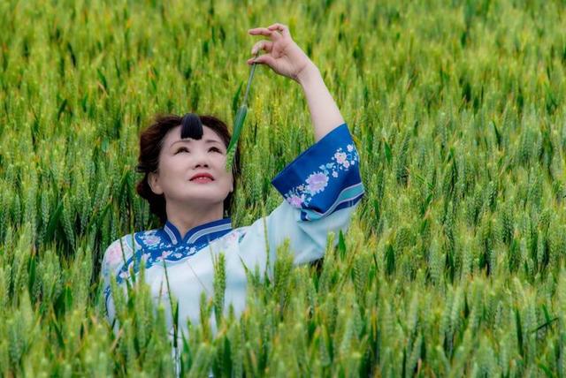 大山里的女人_塬上