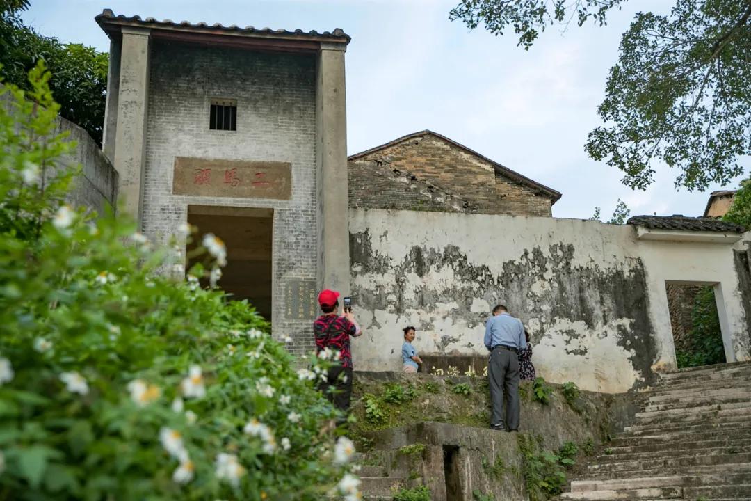 这片花海梯田,我要去打卡!_鱼咀