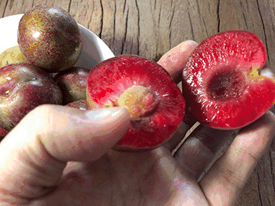 395_296gif 动态图 动图