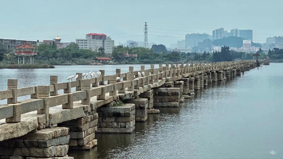 西桥,安海桥,是中国福建省泉州市境内连接晋江市和南安市的一座桥梁