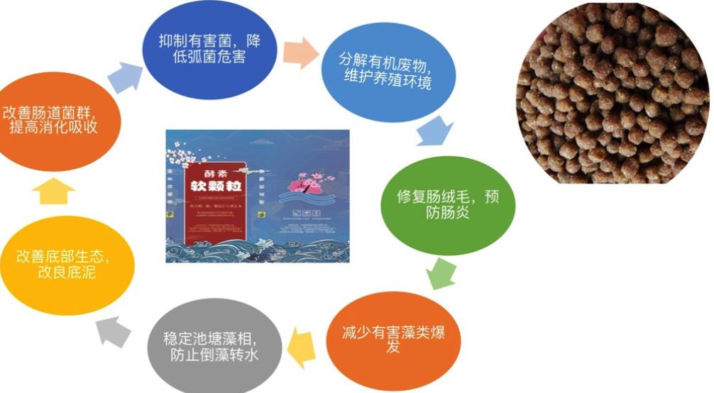 水产养殖中常被忽略的重要元素_矿物质