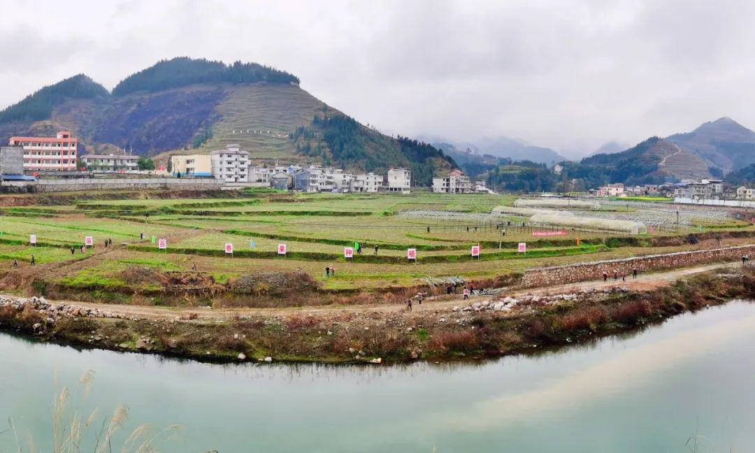 松桃县太平营街道图片