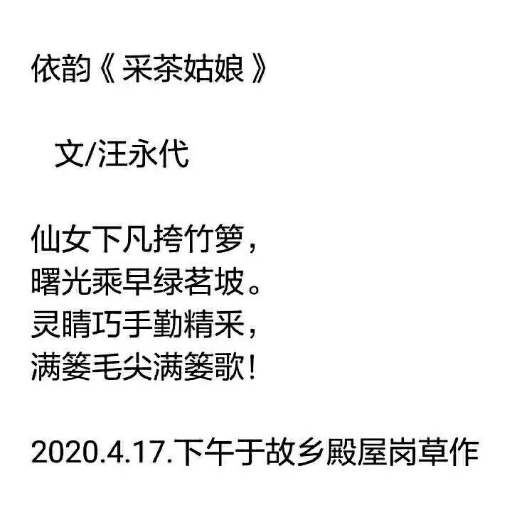 阮中明老师抒写了一首采茶姑娘一一美丽的诗篇逼真的画面引来了诗友们