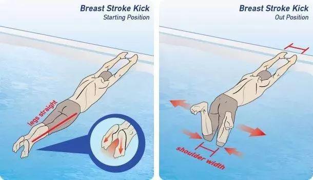 蛙泳游快必须掌握的八个技术少一个都不行