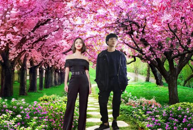 比如说楚河,骚男都曾夸过miss是真的漂亮,除此