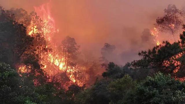 林火蔓延类型为稳进地表火并伴局部树冠火