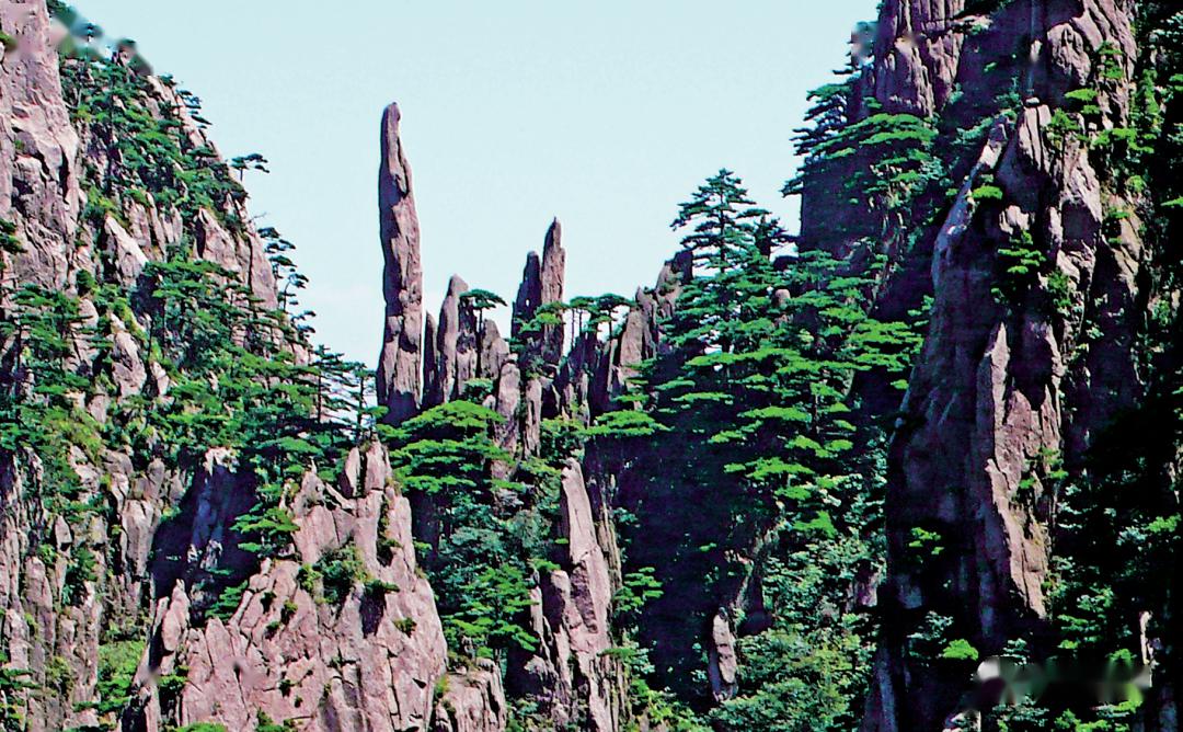 柱峰:观音峰8,石柱,沿花岗岩节理风化侵蚀后残留的柱状体.