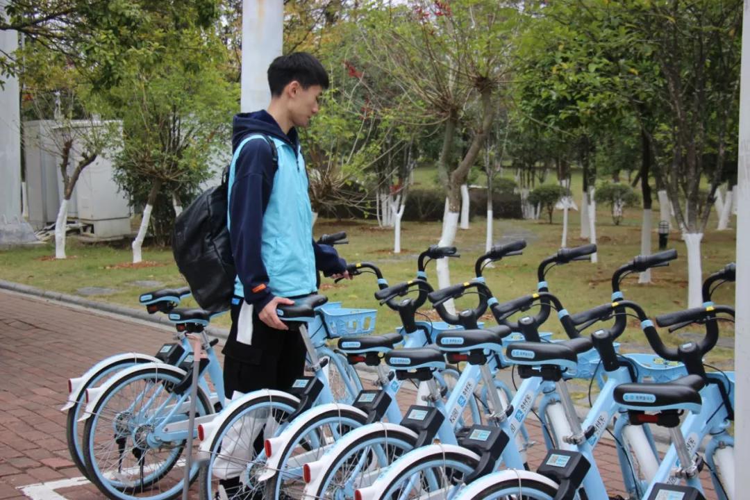 叮叮你的蓝朋友重返校园