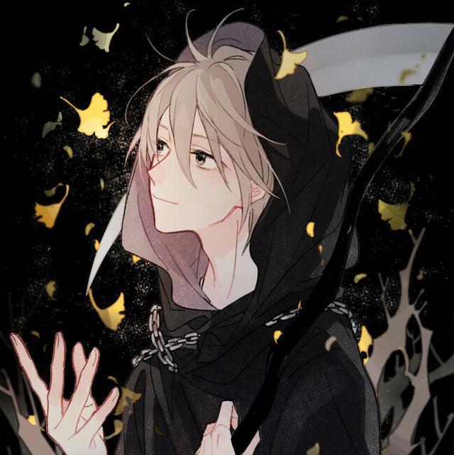 二次元男头流年