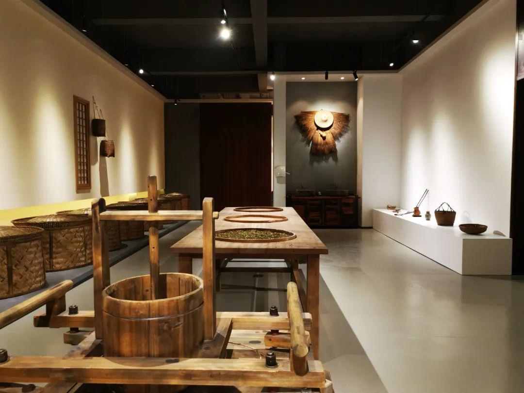 黄汤非遗体验馆帐篷酒店观光木栈道平阳县朝阳山茶旅新项目陆续亮相