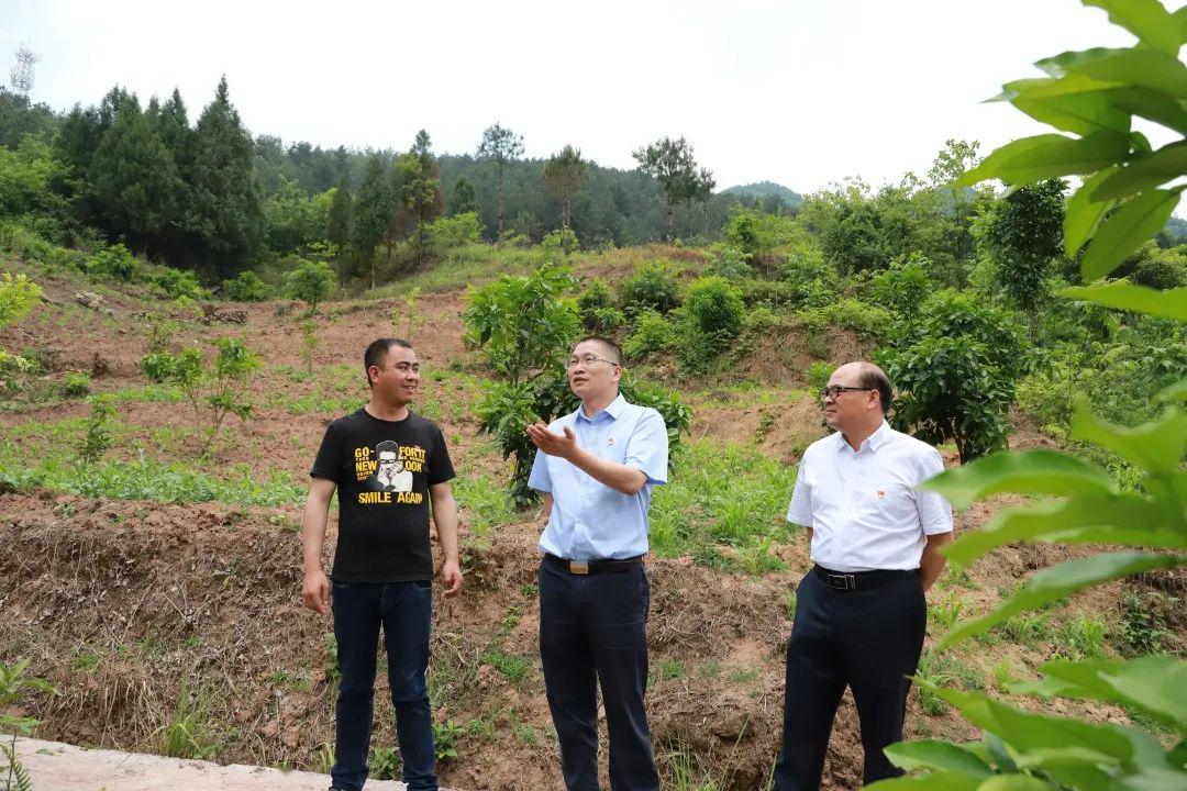 情义深厚丨全力帮扶复兴村打赢脱贫攻坚决战!