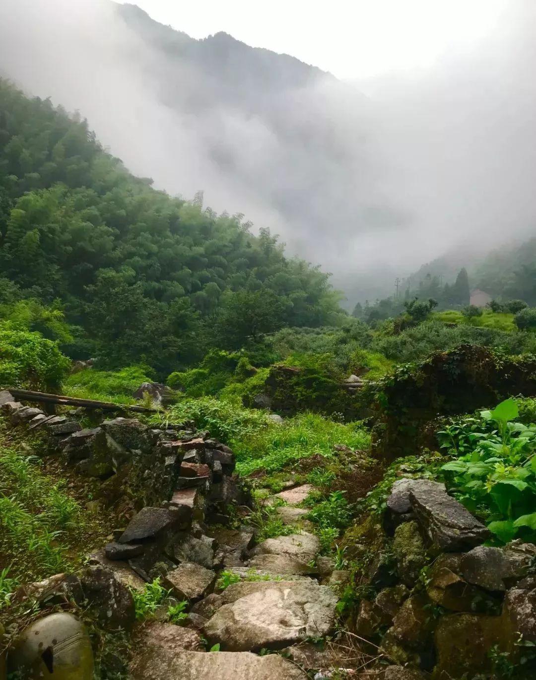 山间小溪车村图片