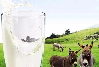 疆小驴·驴欢歌:驴奶喝起来是什么味道?