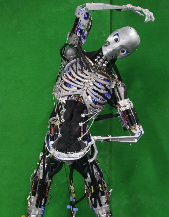 仿真机器人内部结构图片