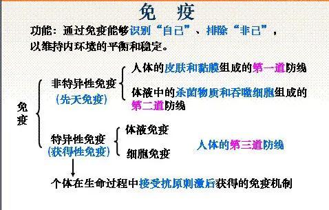 人体的免疫力是怎么回事