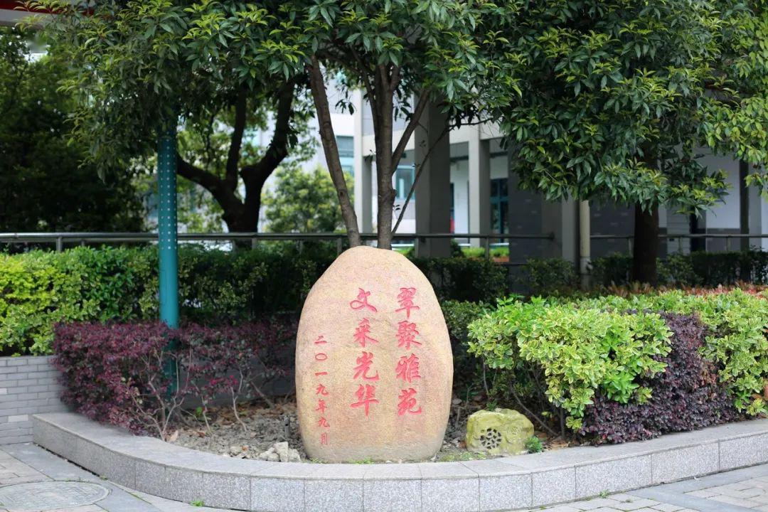 杭州市翠苑中学图片