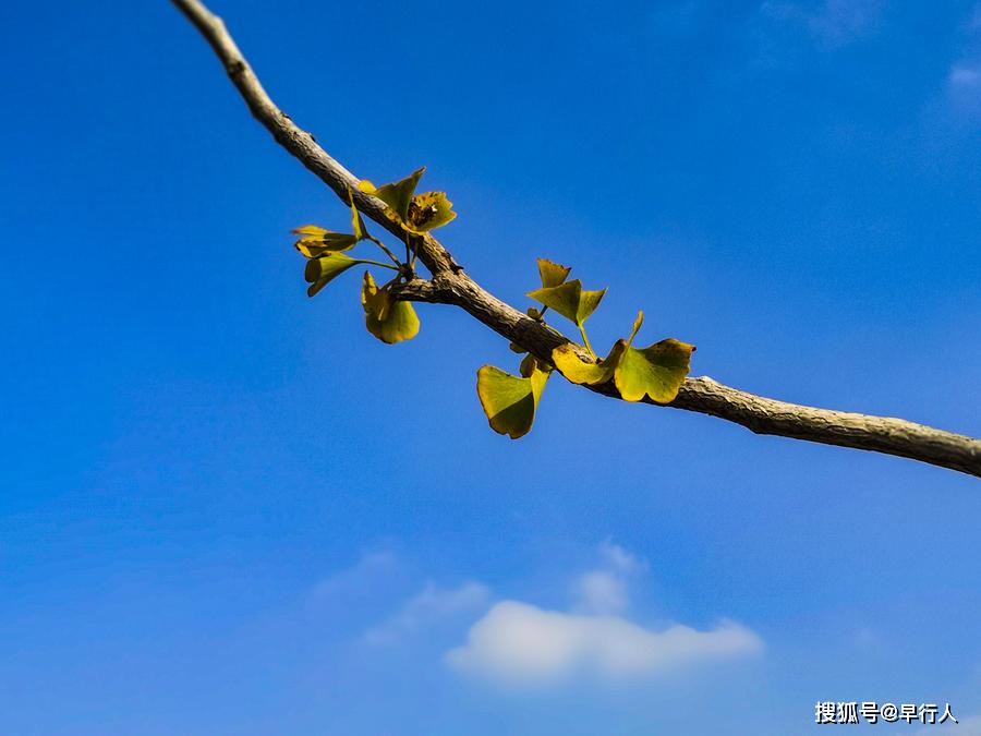 你我皆凡人生在人世間放下白日夢平靜走向前