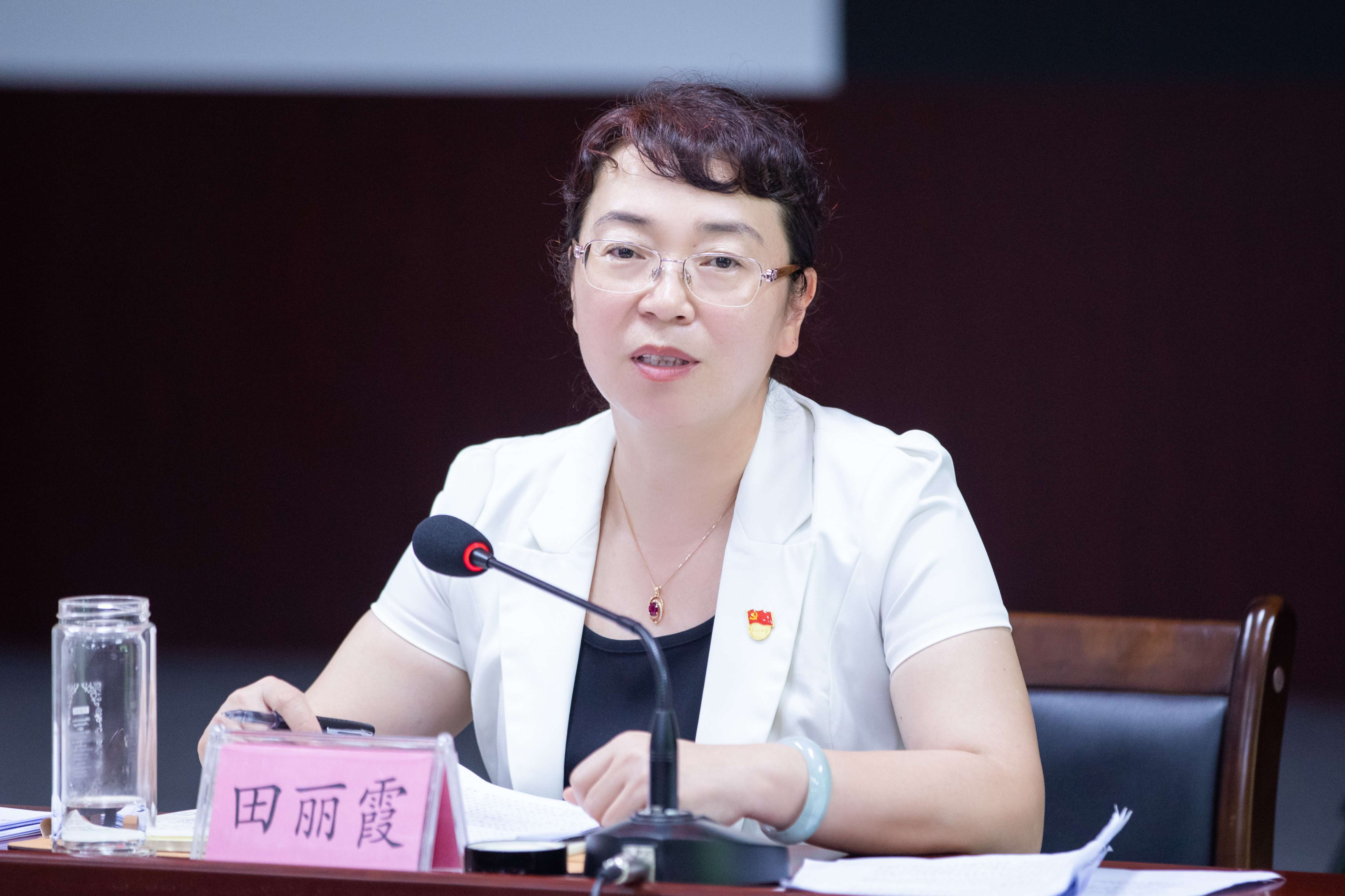 我为加快推进海南自由贸易港建设作贡献东方先行汇聚发展正能量42