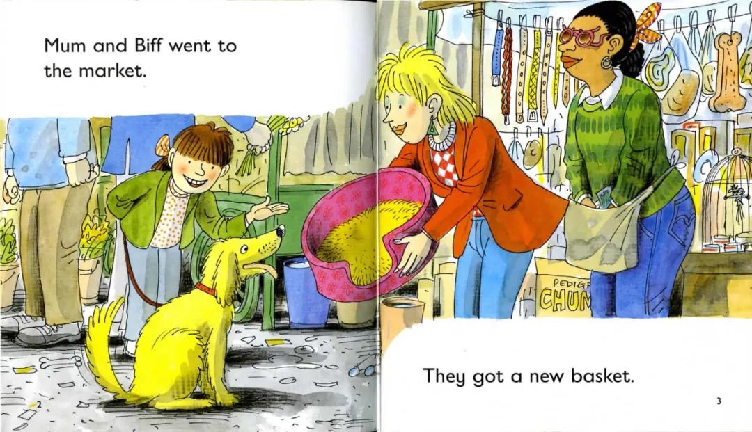 伴读牛津树236thechase