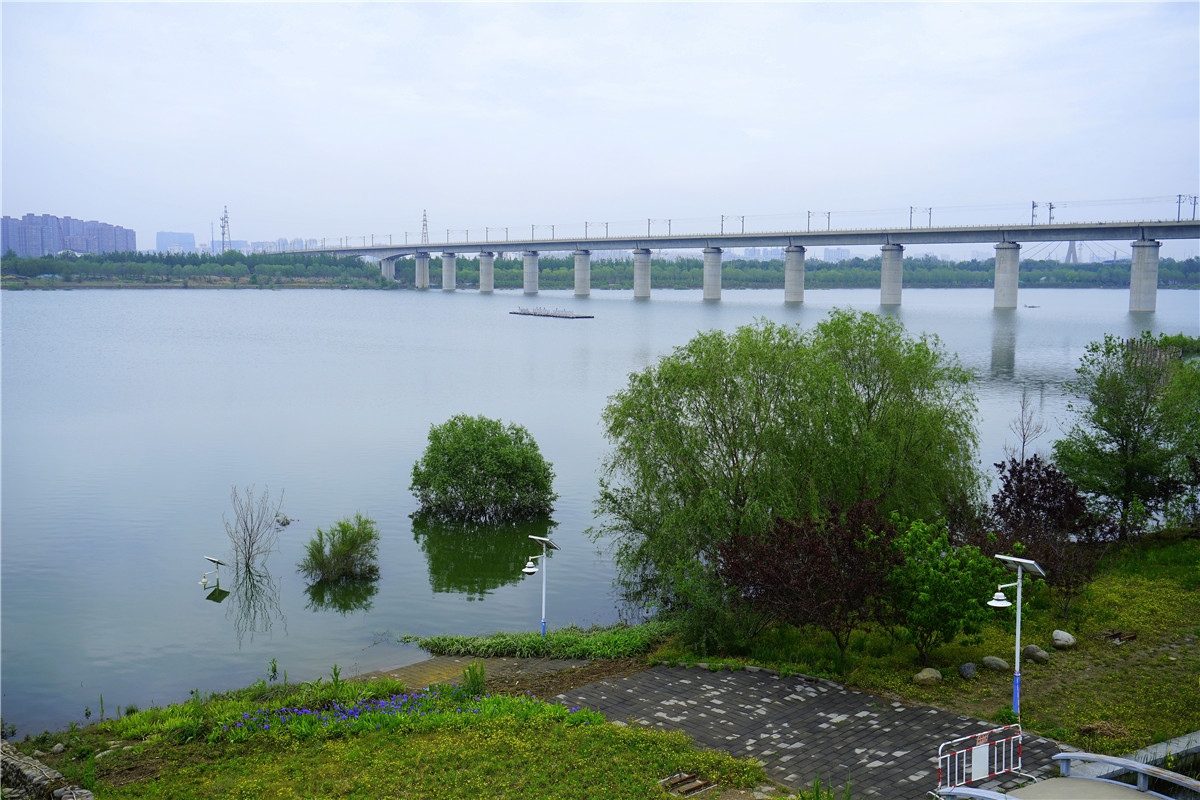 永定河湿地公园图片