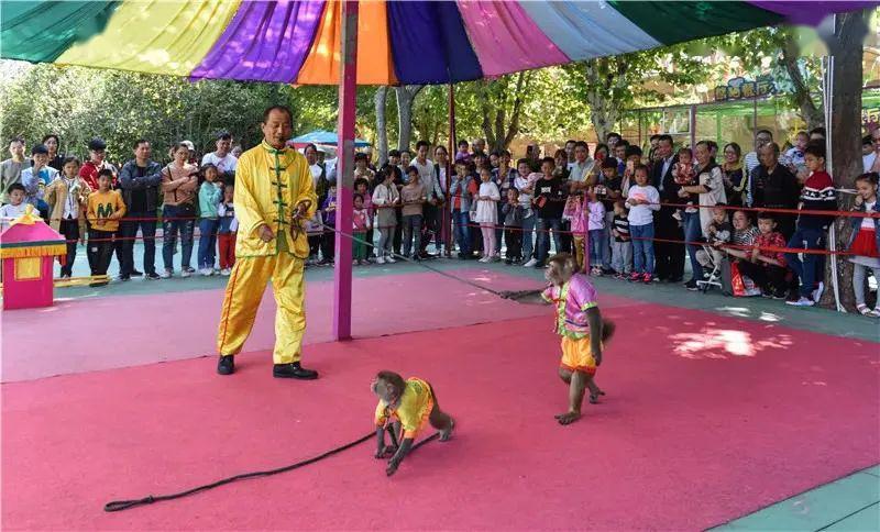 文旅惠民遊 | n種花樣玩轉漯河神州鳥園,通票,遊覽票,夜間遊票 全部