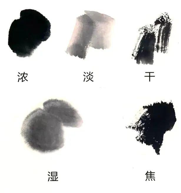 色,再加上各种运笔方法,笔墨将变化无穷,可分出浓,淡,干,湿,焦五色来