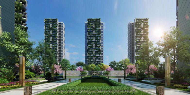 【boss城森林城市】走进医护群体,致敬白衣天使