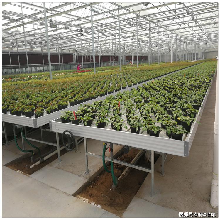 大棚苗床潮汐苗床温室苗床出口苗床