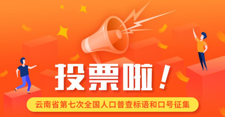 云南省第七次全国人口普查宣传标语和口号开始投票啦