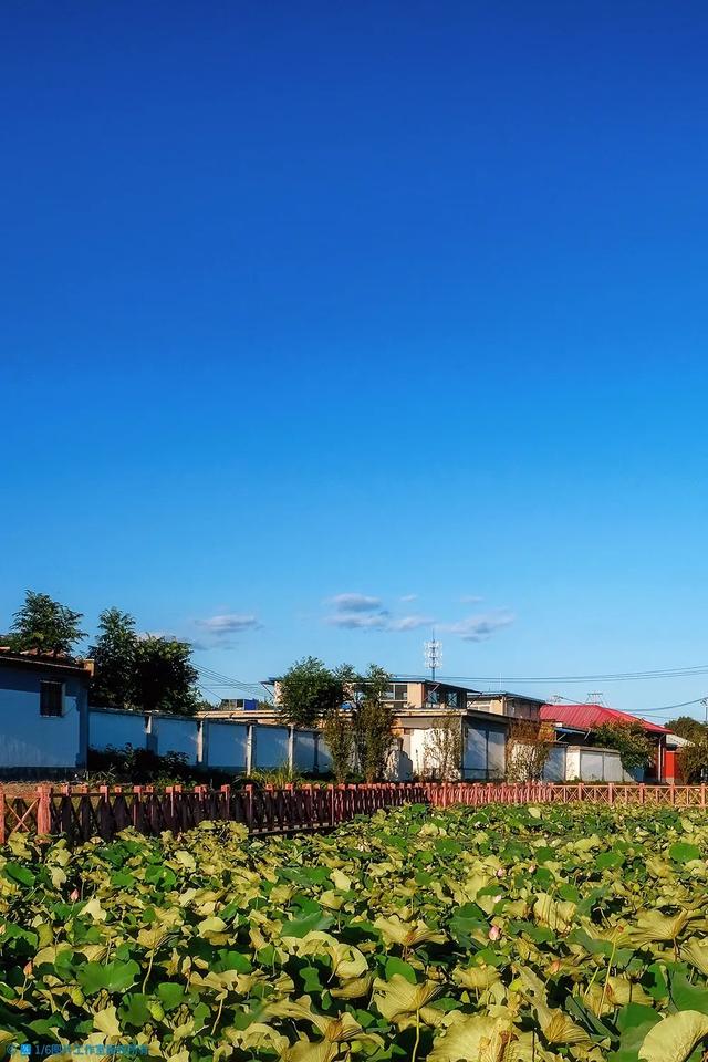 丈量城市:探秘上庄,最后的「海淀」,最好的「海淀」!