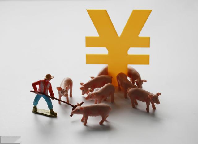 万科也养猪了是房地产不行了还是养猪太赚钱