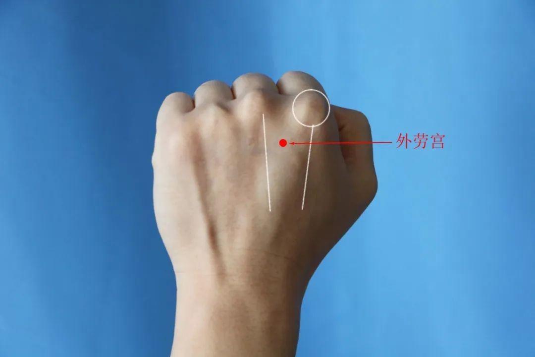 定位:在手背,第2,3掌骨間,掌指關節後0.5寸凹陷中.