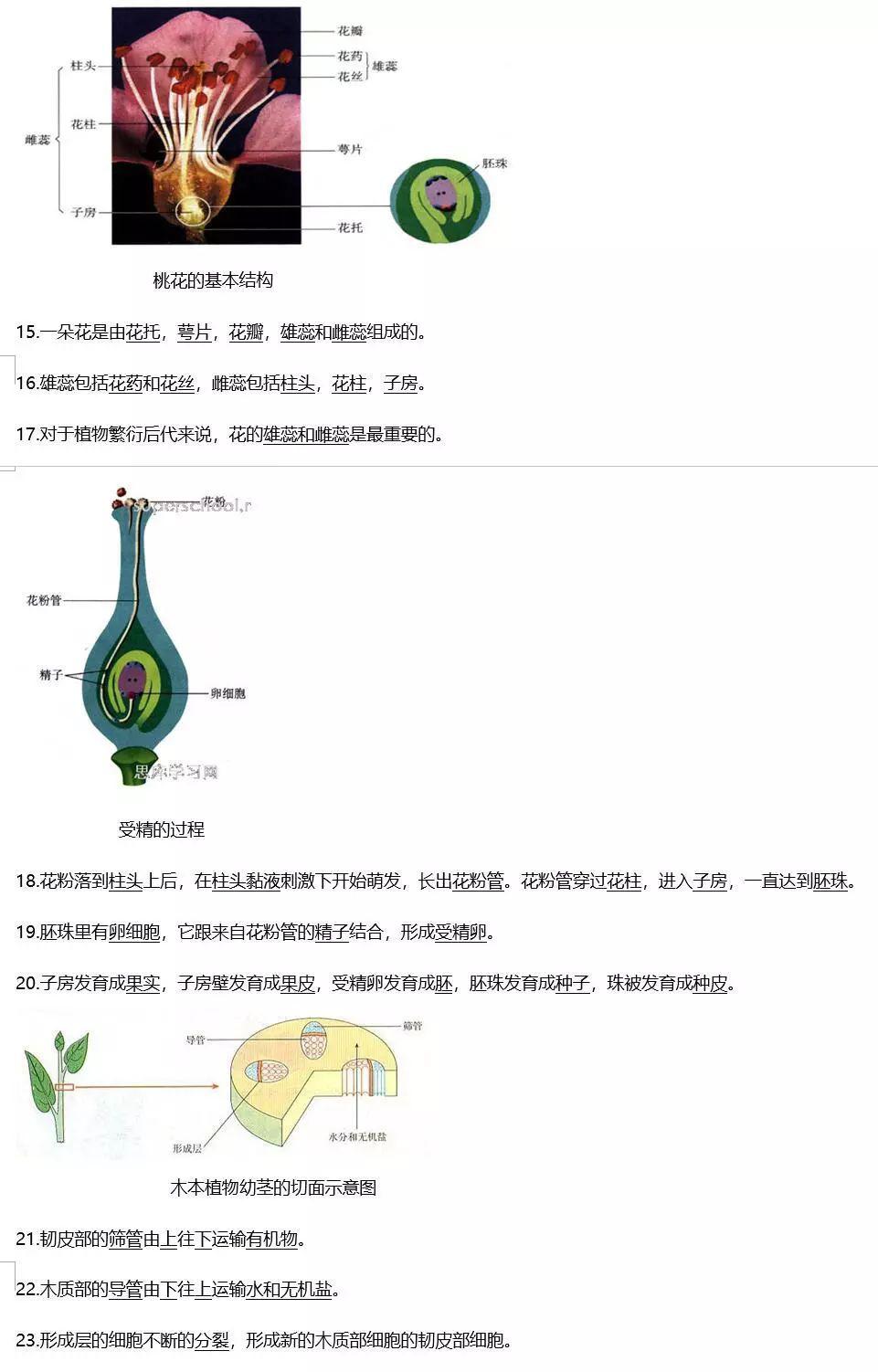 初中生物全部圖文知識點集合啦有圖記憶更深刻可下載打印