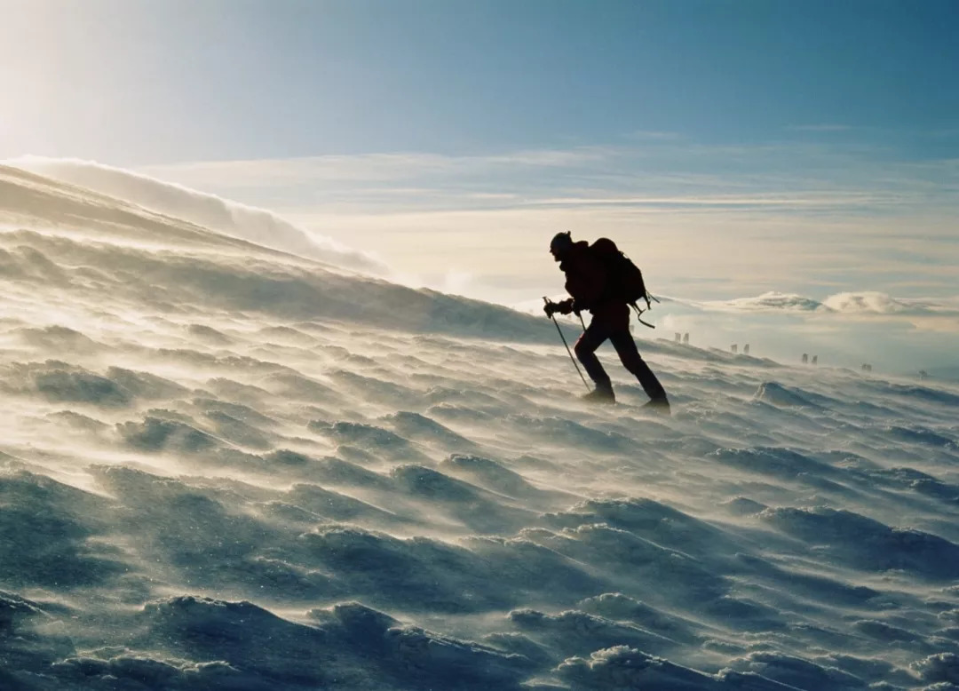 原创咸鱼翻身的时候,只说了10个字,大器又何必晚成?